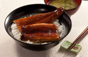 Unagi